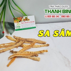 Sa sâm [Hình ảnh, công dụng, cách dùng] Mua ở đâu chất lượng tốt nhất?