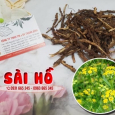Sài hồ [Hình ảnh, công dụng, cách dùng] Mua ở đâu chất lượng tốt nhất?