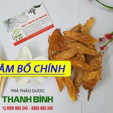 Sâm bố chính [Hình ảnh, công dụng, cách dùng] Mua ở đâu chất lượng tốt nhất?