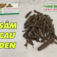 Sâm cau đen - Dược liệu có công dụng kích thích ham muốn tại Bình Tân