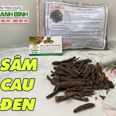 Sâm cau đen [Hình ảnh, công dụng, cách dùng] Mua ở đâu chất lượng tốt nhất???