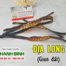 Địa long [Hình ảnh, công dụng, cách dùng] Mua ở đâu chất lượng tốt nhất?