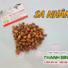 Sa nhân [Hình ảnh, công dụng, cách dùng] Mua ở đâu chất lượng tốt nhất?
