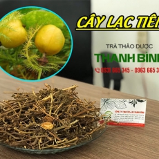 Cây lạc tiên [Hình ảnh, công dụng, cách dùng] Mua ở đâu chất lượng tốt nhất???