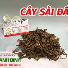 Cây sài đất [Hình ảnh, công dụng, cách dùng] Mua ở đâu chất lượng tốt nhất???