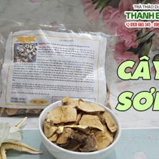 Tác dụng của cây sơn trong điều trị giun móc hiệu quả nhất