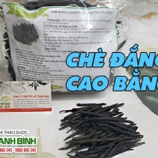 Tác dụng của chè đắng Cao Bằng trong việc tản phong nhiệt hiệu quả nhất