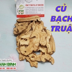 Tác dụng của củ bạch truật trong điều trị viêm dạ dày cấp hiệu quả nhất