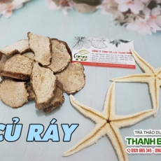Tác dụng của củ ráy trong điều trị đầu gối sưng đau hiệu quả nhất