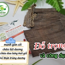 Tác dụng của đỗ trọng trong điều trị đau thắt lưng hiệu quả nhất