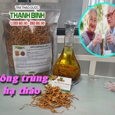 Tác dụng của đông trùng hạ thảo trong điều trị các bệnh về đường hô hấp hiệu quả nhất