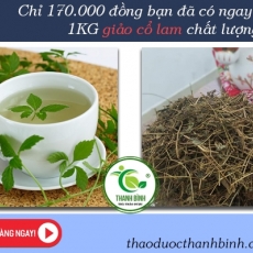 Tác dụng của giảo cổ lam trong điều trị tiểu đường hiệu quả nhất