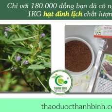 Tác dụng của hạt đình lịch trong điều trị các vết mụn nhọt hiệu quả nhất
