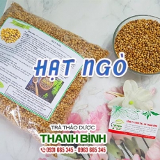 Tác dụng của hạt ngò giúp an thần chữa mất ngủ