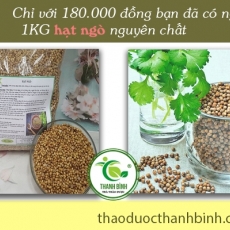 Tác dụng của hạt ngò trong điều trị kiết lỵ hiệu quả nhất