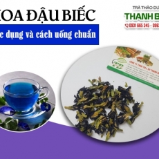 Tác dụng của hoa đậu biếc trong ngăn ngừa tiểu đường hiệu quả nhất
