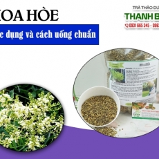 Tác dụng của hoa hòe trong điều trị chảy máu dưới da hiệu quả nhất