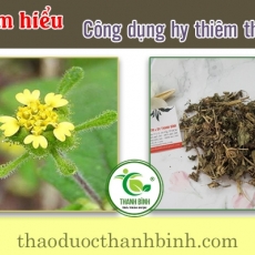 Tác dụng của hy thiêm thảo trong điều trị phong thấp hiệu quả nhất