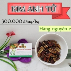 Tác dụng của kim anh tử trong điều trị sa tử cung hiệu quả nhất