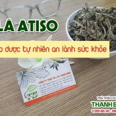 Tác dụng của lá atiso trong điều trị viêm gan vàng da hiệu quả nhất