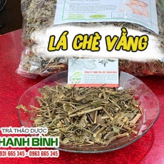 Lá chè vằng [Hình ảnh, công dụng, cách dùng] Mua ở đâu chất lượng tốt nhất?