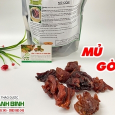 Tác dụng của mủ gòn trong điều trị mất ngủ căng thẳng hiệu quả nhất