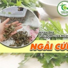 Tác dụng của ngải cứu trong điều trị viêm họng hiệu quả nhất