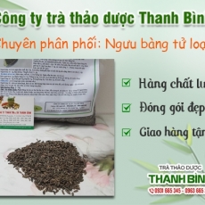 Tác dụng của ngưu bàng tử trong điều trị cảm mạo phong nhiệt hiệu quả nhất