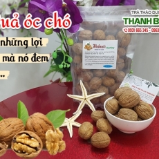 Tác dụng của quả óc chó trong điều trị tiểu đường hiệu quả nhất