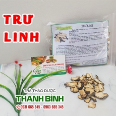 Tác dụng của trư linh trong điều trị rối loạn tiểu tiện