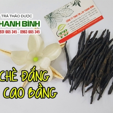 Chè đắng Cao Bằng [Hình ảnh, công dụng, cách dùng] Mua ở đâu chất lượng tốt nhất???