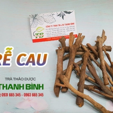 Rễ cau [Hình ảnh, công dụng, cách dùng] Mua ở đâu chất lượng tốt nhất?