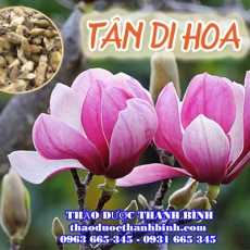 Tân Di Hoa