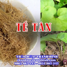Tế Tân