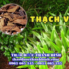 Thạch Vỹ