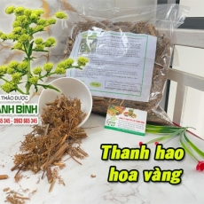 Thanh hao hoa vàng [Hình ảnh, công dụng, cách dùng] Mua ở đâu chất lượng tốt nhất?