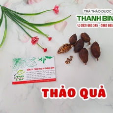 Thảo quả [Hình ảnh, công dụng, cách dùng] Mua ở đâu chất lượng tốt nhất?