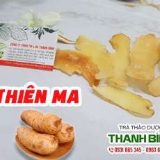 Thiên ma [Hình ảnh, công dụng, cách dùng] Mua ở đâu chất lượng tốt nhất?