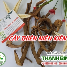 Thiên niên kiện [Hình ảnh, công dụng, cách dùng] Mua ở đâu chất lượng tốt nhất?