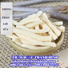 Thông Thảo