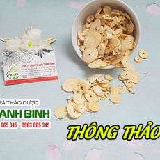 Thông thảo [Hình ảnh, công dụng, cách dùng] Mua ở đâu chất lượng tốt nhất?