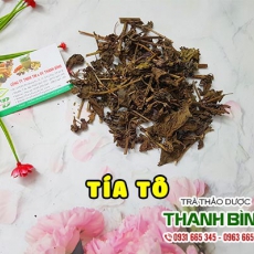 Tía tô [Hình ảnh, công dụng, cách dùng] Mua ở đâu chất lượng tốt nhất?