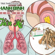 Tiền hồ [Hình ảnh, công dụng, cách dùng] Mua ở đâu chất lượng tốt nhất?