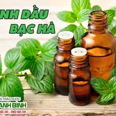 Tinh dầu bạc hà [Hình ảnh, công dụng, cách dùng] Mua ở đâu chất lượng tốt nhất???