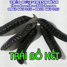Trái bồ kết [Hình ảnh, công dụng, cách dùng] Mua ở đâu chất lượng tốt nhất?