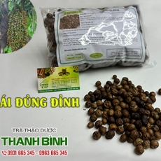 Trái đủng đỉnh [Hình ảnh, công dụng, cách dùng] Mua ở đâu chất lượng tốt nhất???