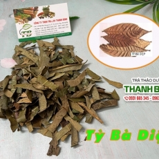 Tỳ bà diệp [Hình ảnh, công dụng, cách dùng] Mua ở đâu chất lượng tốt nhất???