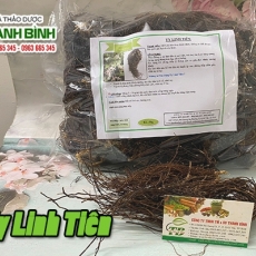 Uy linh tiên [Hình ảnh, công dụng, cách dùng] Mua ở đâu chất lượng nhât???