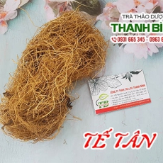 Tế tân [Hình ảnh, công dụng, cách dùng] Mua ở đâu chất lượng tốt nhất?