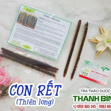 Vị thuốc từ rết (Thiên Long) và bài thuốc chữa bệnh